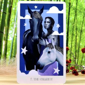 Nova Witch Tarot Cards by Suki Ferguson - The Chariot