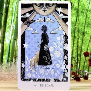 Nova Witch Tarot Cards by Suki Ferguson - The Fool