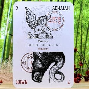 Oracle of Heaven and Hell by Travis McHenry - Achaiah and Amon