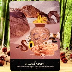 Starlight Frequencies Oracle Cards by Leah Shoman -Expansive Growth