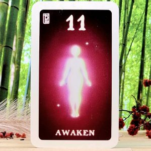 The Angel Numbers Oracle Deck by The Pulp Girls - 11 - Awaken