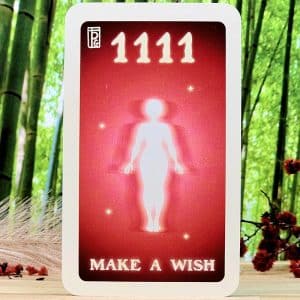 1111 - Make a Wish