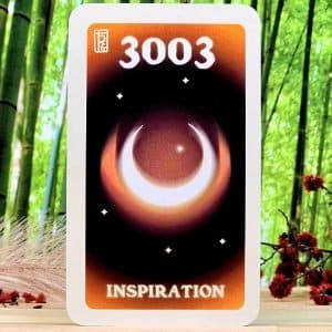 3003 - Inspiration