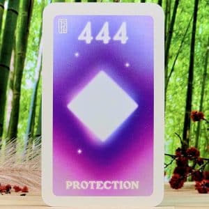 444 - Protection