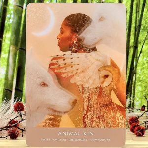 The Dreamgate Oracle Cards and Guidebook by Danielle Noel - Animal Kin