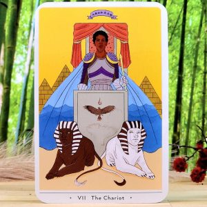 True Heart Intuitive Tarot Deck by Rachel True - The Chariot