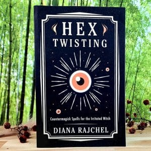 Hex Twisting by Diana Rajchel