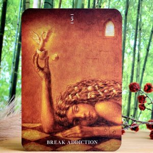 Mystical Healing Oracle Cards by Inna Segal - Break Addiction