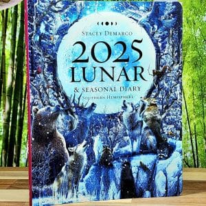 2025 Lunar and Seasonal Diary by Stacey Demarco - Front cover