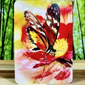 Butterfly Transformations Oracle Cards by Alana Fairchild - Healing Heart Wisdom