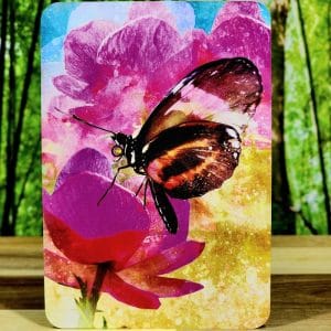 Butterfly Transformations Oracle Cards by Alana Fairchild - Many Happy Surprises