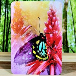 Butterfly Transformations Oracle Cards by Alana Fairchild - Trusting in Grace