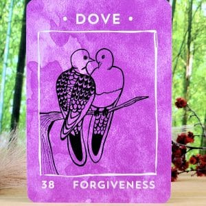 Nature Nurture Oracle Cards by Marcella Kroll -Forgiveness Card