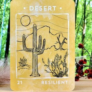 Nature Nurture Oracle Cards by Marcella Kroll - Desert Card