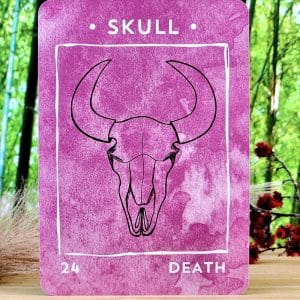 Nature Nurture Oracle Cards by Marcella Kroll - Skull Card