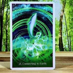 Whispers of the Dolphin Heart Oracle by Angela Hartfield - Connecting to Earth