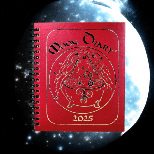 2025 Southern Hemisphere Moon Diary by Niccii French