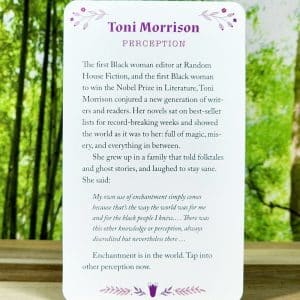 Toni Morrison Perception