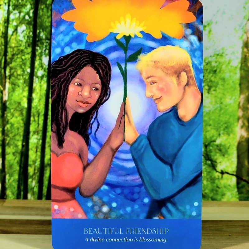 Soul Wisdom Oracle Cards by Nicole Miz - Beautiful Friendship