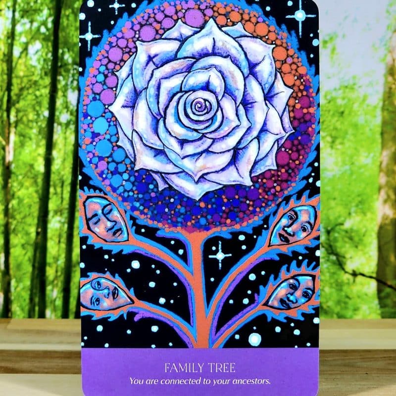 Soul Wisdom Oracle Cards by Nicole Miz - Family Tree