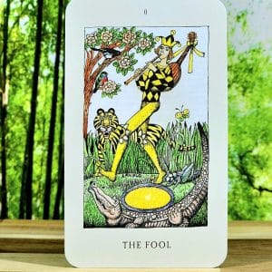 The Jolanda Witch Tarot Cards by Rosie Björkman - The Fool