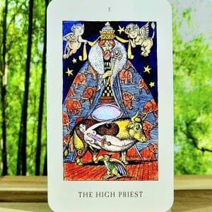 The Jolanda Witch Tarot Cards by Rosie Björkman - The High Priest