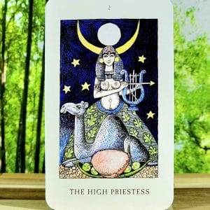 The Jolanda Witch Tarot Cards by Rosie Björkman - The High Priestess