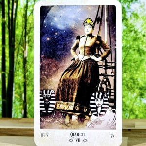 The Relative Tarot Deck by Carrie Paris - Chariot