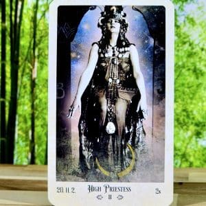 The Relative Tarot by Carrie Paris - High Priestess