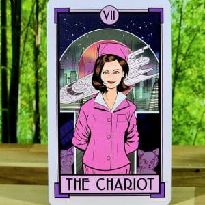 Cat Full of Spiders Tarot Deck by Christina Ricci - The Chariot