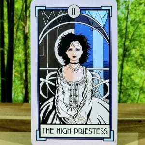 Cat Full of Spiders Tarot Deck by Christina Ricci - The High Priestess