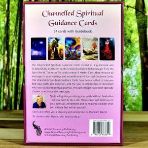 Channelled Spiritual Guidance Cards - Rear of Box