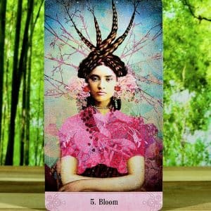 Oracle of Mystical Moments by Catrin Welz-Stein - Bloom