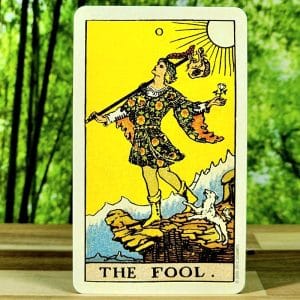 Smith-Waite Tarot Deck Centennial Edition - The Fool