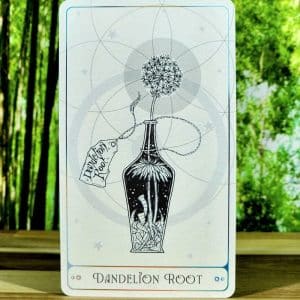 The Alchemists Oracle by Zoe Sadler - Dandelion Root Card