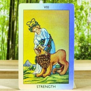 The Reflective Tarot Deck - Strength