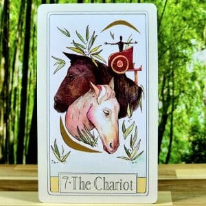 Curious Travels Tarot Cards by Amelia Rozear - The Chariot