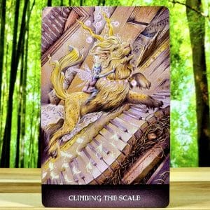 Land of Giants Oracle Deck by Steven Hutton - Climbing the scale