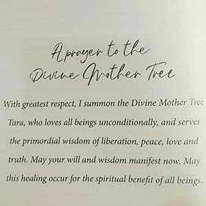 A prayer to the divine Mother Tree