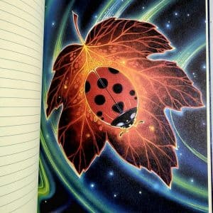 Seek Writing and Creativity Journal by Ravynne Phelan - Ladybird on a leaf