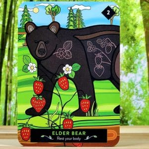 The Animal Elders Oracle Cards by Asha Frost - Elder Bear