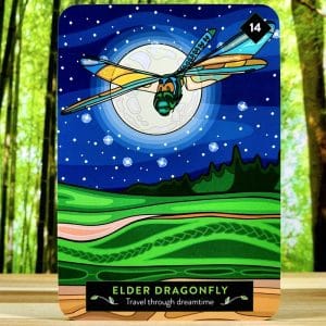 The Animal Elders Oracle Cards by Asha Frost - Elder Dragonfly