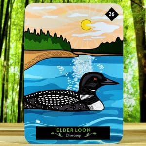 Elder Loon