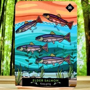 Elder Salmon