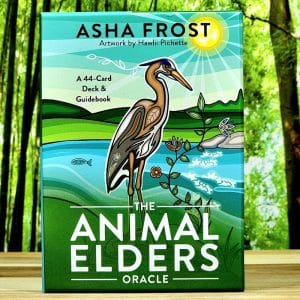 The Animal Elders Oracle Cards by Asha Frost - Front Cover