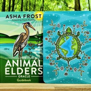 The Animal Elders Oracle Cards by Asha Frost - Guidebook and back of cards