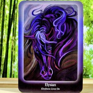 The Council of Horses Oracle by Sandra Wallin - Elysian