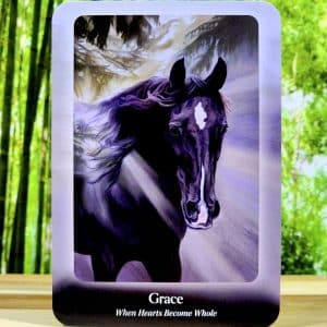 The Council of Horses Oracle by Sandra Wallin - Grace