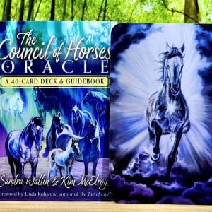 The Council of Horses Oracle by Sandra Wallin - Guidebook and back of cards