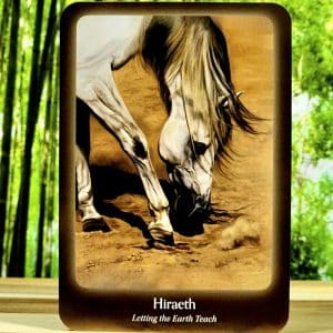 The Council of Horses Oracle by Sandra Wallin - Hiraeth